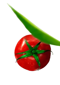 Kreditpartner Zürich, Selvalingam